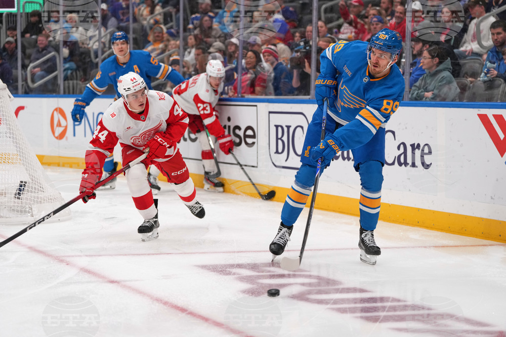 Red Wings Blues Hockey