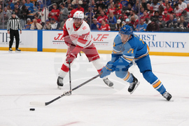 Red Wings Blues Hockey
