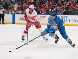 Red Wings Blues Hockey