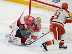 Ducks Panthers Hockey