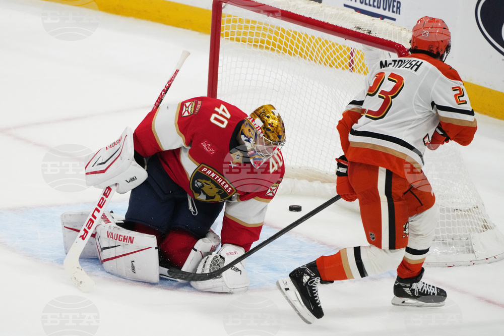 Ducks Panthers Hockey