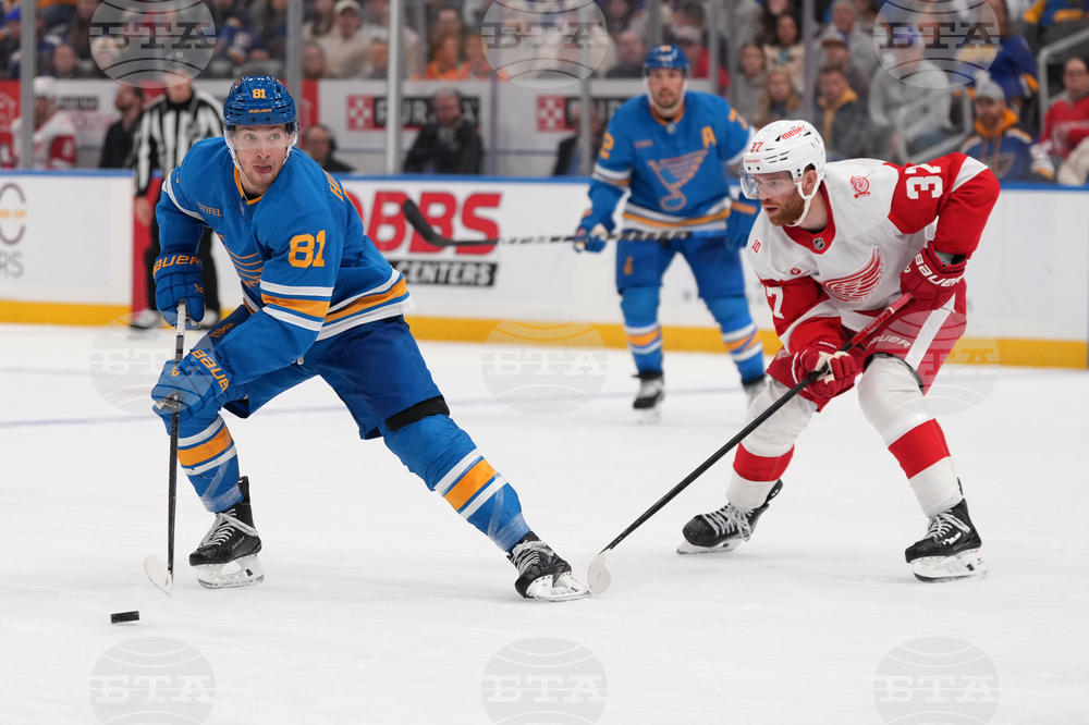 Red Wings Blues Hockey