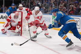 Red Wings Blues Hockey