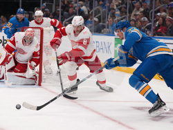 Red Wings Blues Hockey