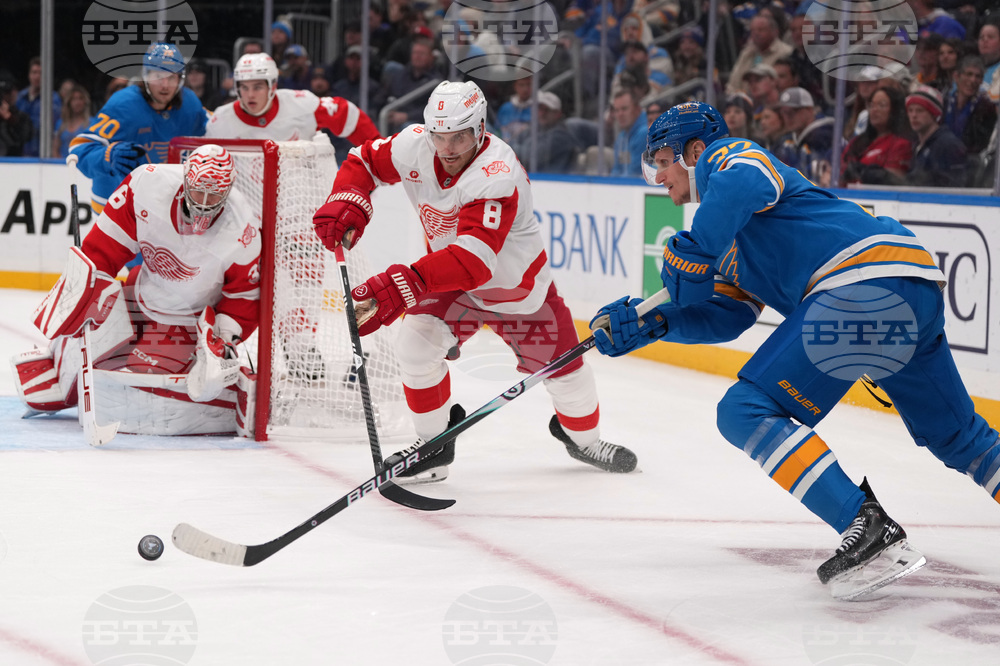 Red Wings Blues Hockey