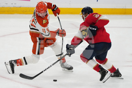 Ducks Panthers Hockey