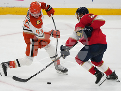 Ducks Panthers Hockey