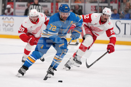 Red Wings Blues Hockey