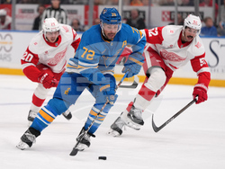 Red Wings Blues Hockey