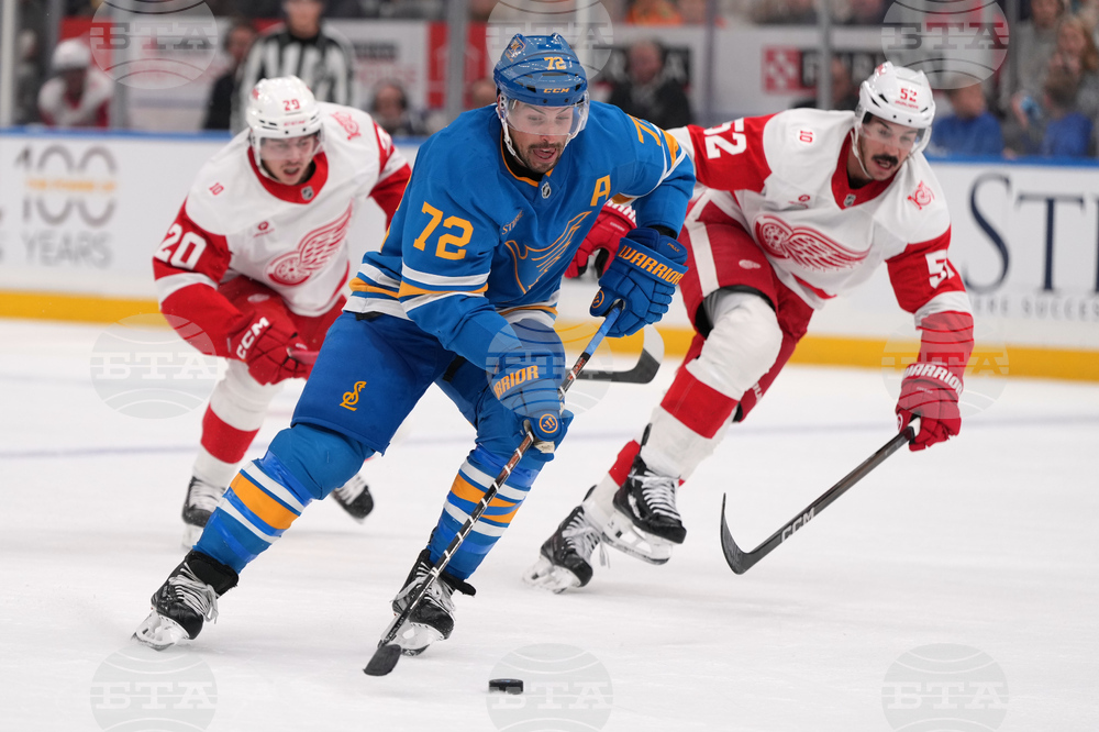 Red Wings Blues Hockey