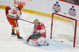 Ducks Panthers Hockey