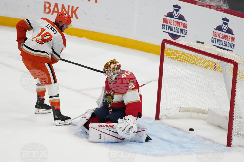 Ducks Panthers Hockey