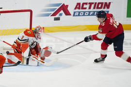 Ducks Panthers Hockey