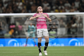 Brazil Ecuador Soccer Copa Sudamericana