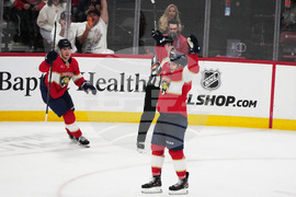 Ducks Panthers Hockey