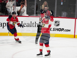 Ducks Panthers Hockey