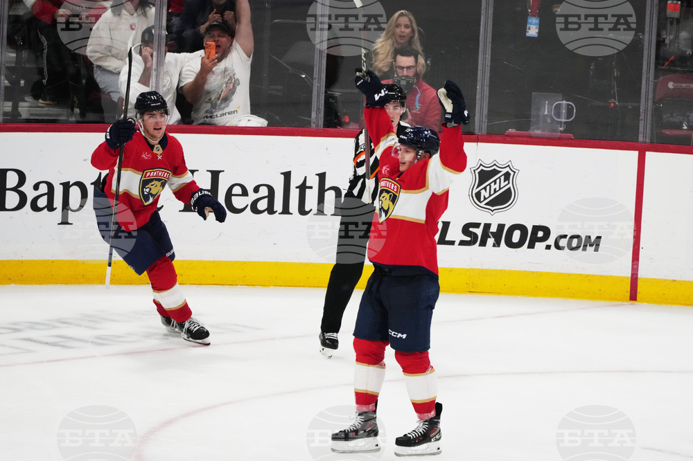 Ducks Panthers Hockey