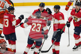 Ducks Panthers Hockey