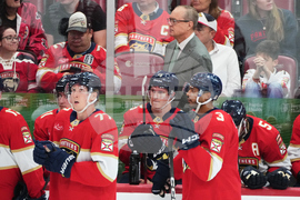 Ducks Panthers Hockey