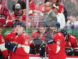 Ducks Panthers Hockey