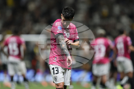 Brazil Ecuador Soccer Copa Sudamericana