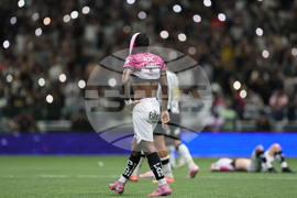 Brazil Ecuador Soccer Copa Sudamericana