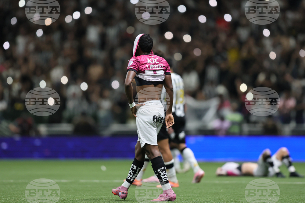 Brazil Ecuador Soccer Copa Sudamericana