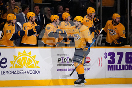 Lightning Predators Hockey