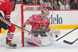 Senators Blackhawks Hockey