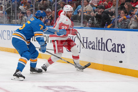 Red Wings Blues Hockey