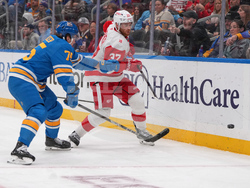 Red Wings Blues Hockey