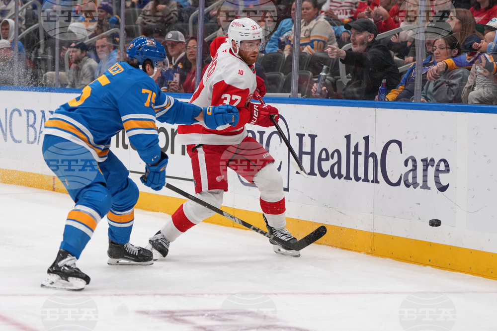 Red Wings Blues Hockey