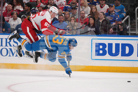 Red Wings Blues Hockey