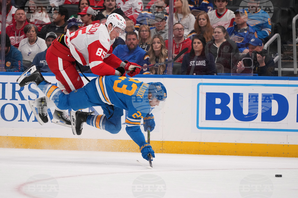 Red Wings Blues Hockey