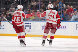 Red Wings Blues Hockey