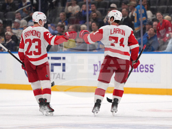 Red Wings Blues Hockey