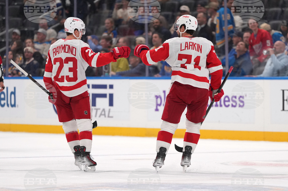 Red Wings Blues Hockey