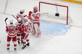 Red Wings Blues Hockey