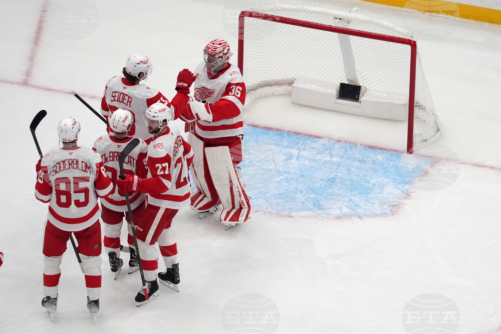 Red Wings Blues Hockey