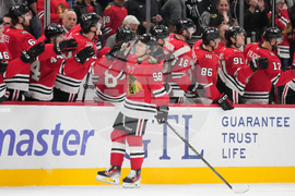 Senators Blackhawks Hockey