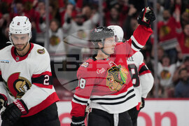 Senators Blackhawks Hockey