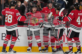 Senators Blackhawks Hockey