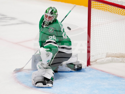 Capitals Stars Hockey