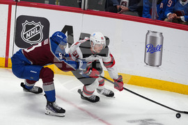 Devils Avalanche Hockey