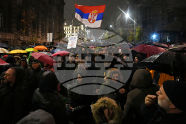 Serbia Canopy Collapse Mother's Quest