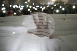 Serbia Canopy Collapse Mother's Quest