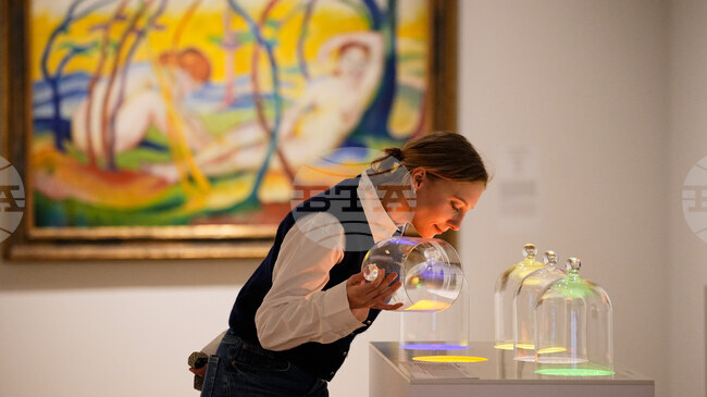 Изложба на аромати в Германия съчетава 1000 години ухания с изкуство и история