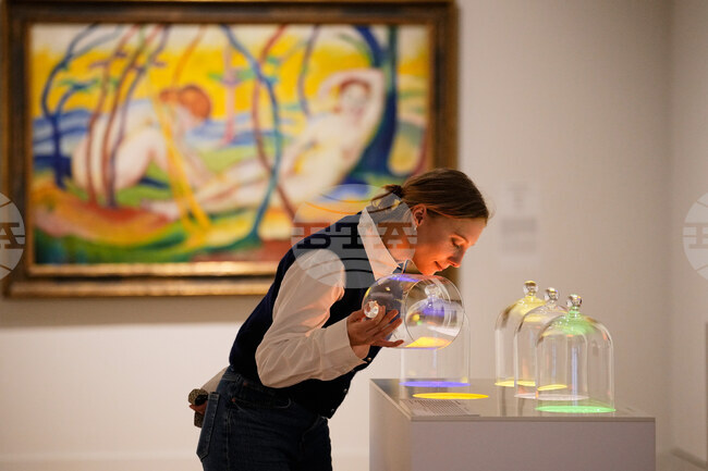 Изложба на аромати в Германия съчетава 1000 години ухания с изкуство и история