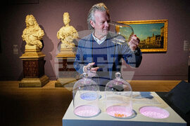 Germany Scent Exhibition