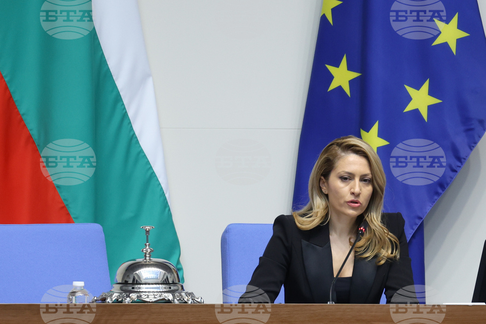 Raya Nazaryan Elected Parliament Chair Following Nataliya Kiselova's Resignation